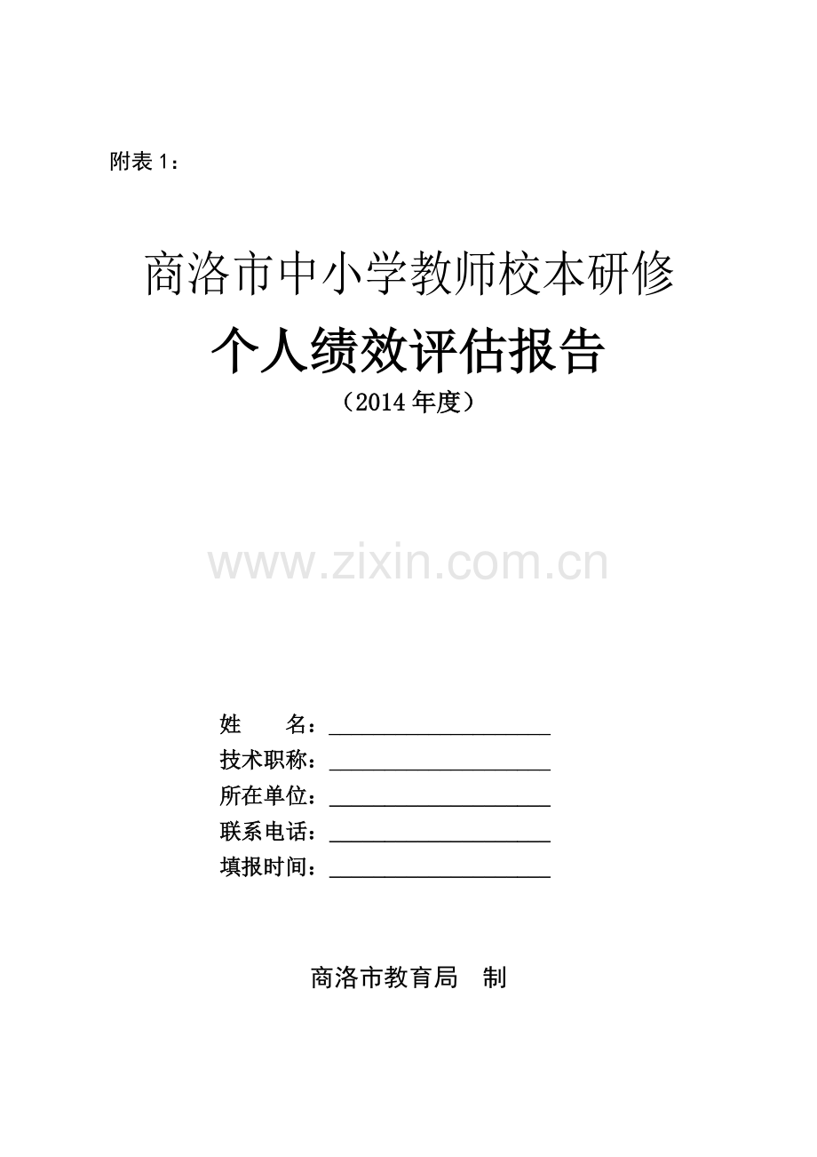 中小学教师校本研修个人绩效评估报告.doc_第1页