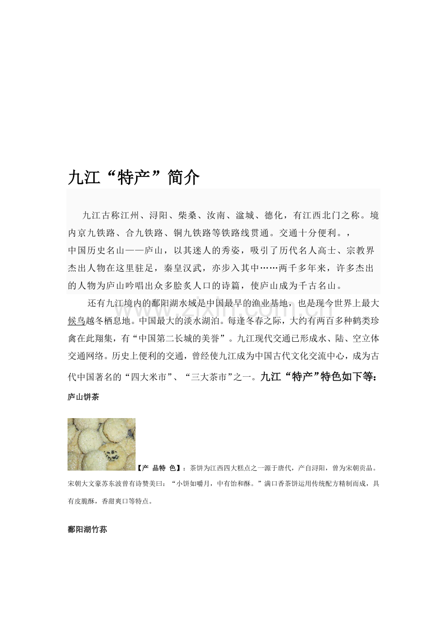 网络营销策划方案-Word-文档.doc_第1页