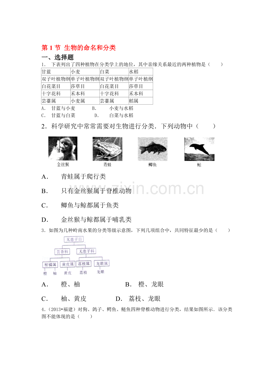 生物的命名和分类课时练习2.doc_第1页