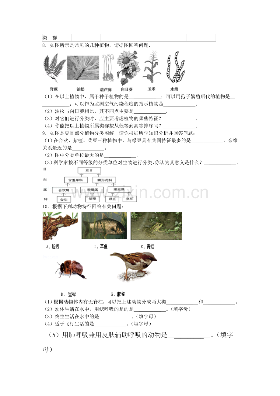 生物的命名和分类课时练习2.doc_第3页