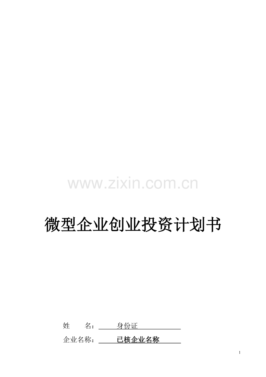 微型企业创业投资计划书详细版.doc_第1页