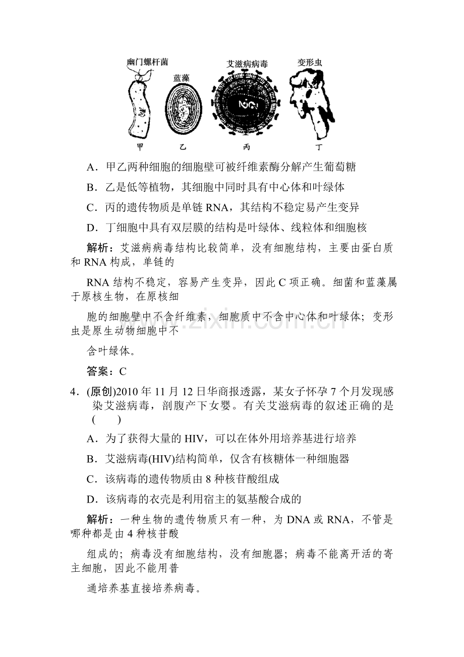 高一生物课时强化复习训练题10.doc_第3页