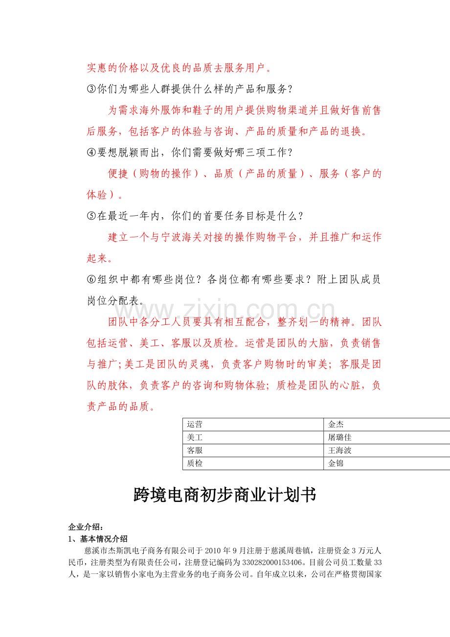 跨境电商初步发展计划.doc_第2页