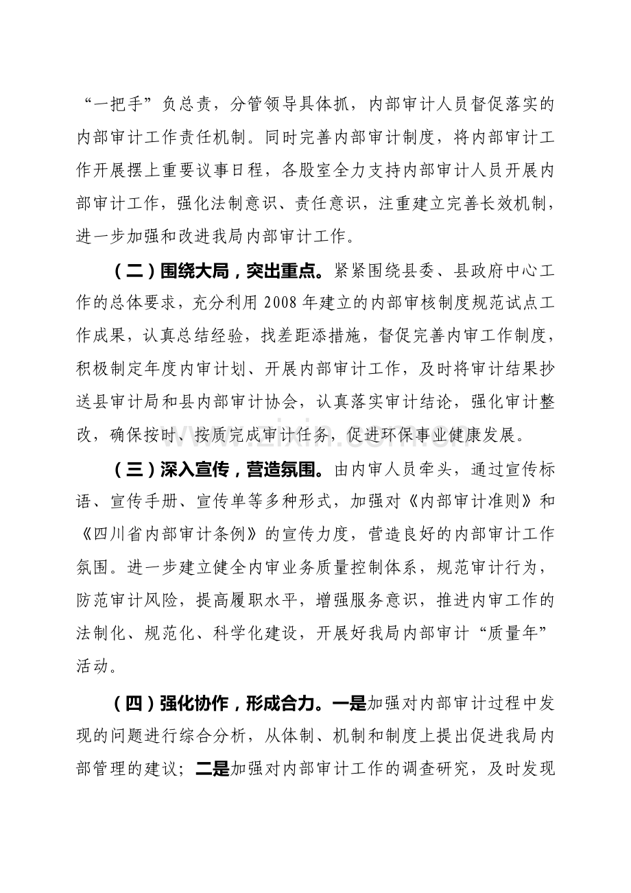 2012年环保局内部审计工作实施意见.doc_第2页