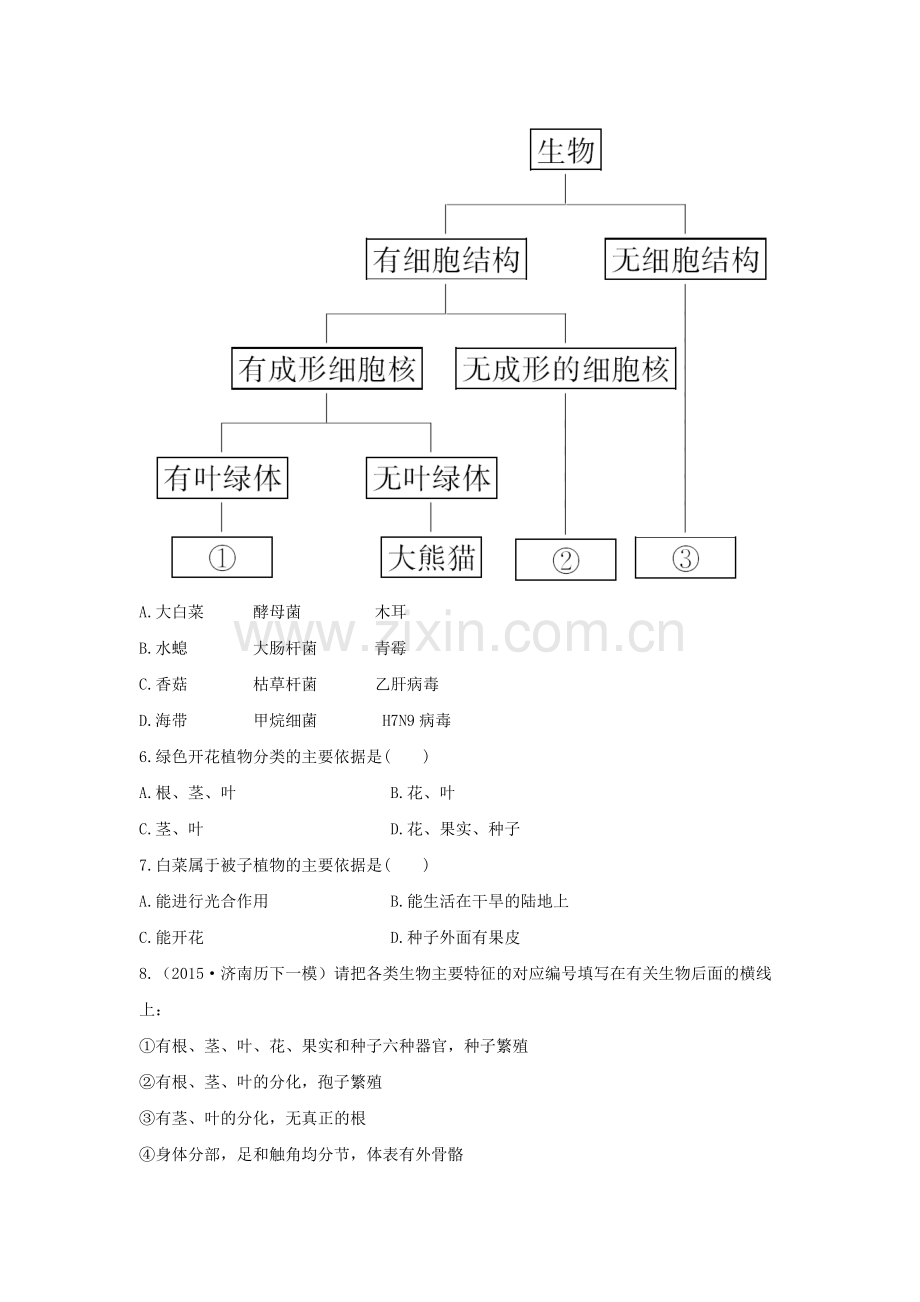 生物的分类检测题.doc_第2页