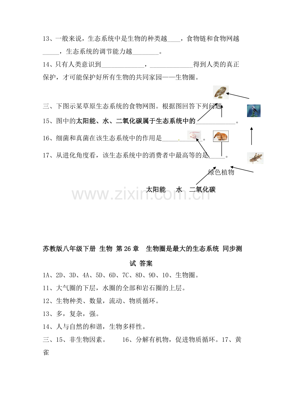 八年级生物生物圈是最大的生态系统同步测试.doc_第3页