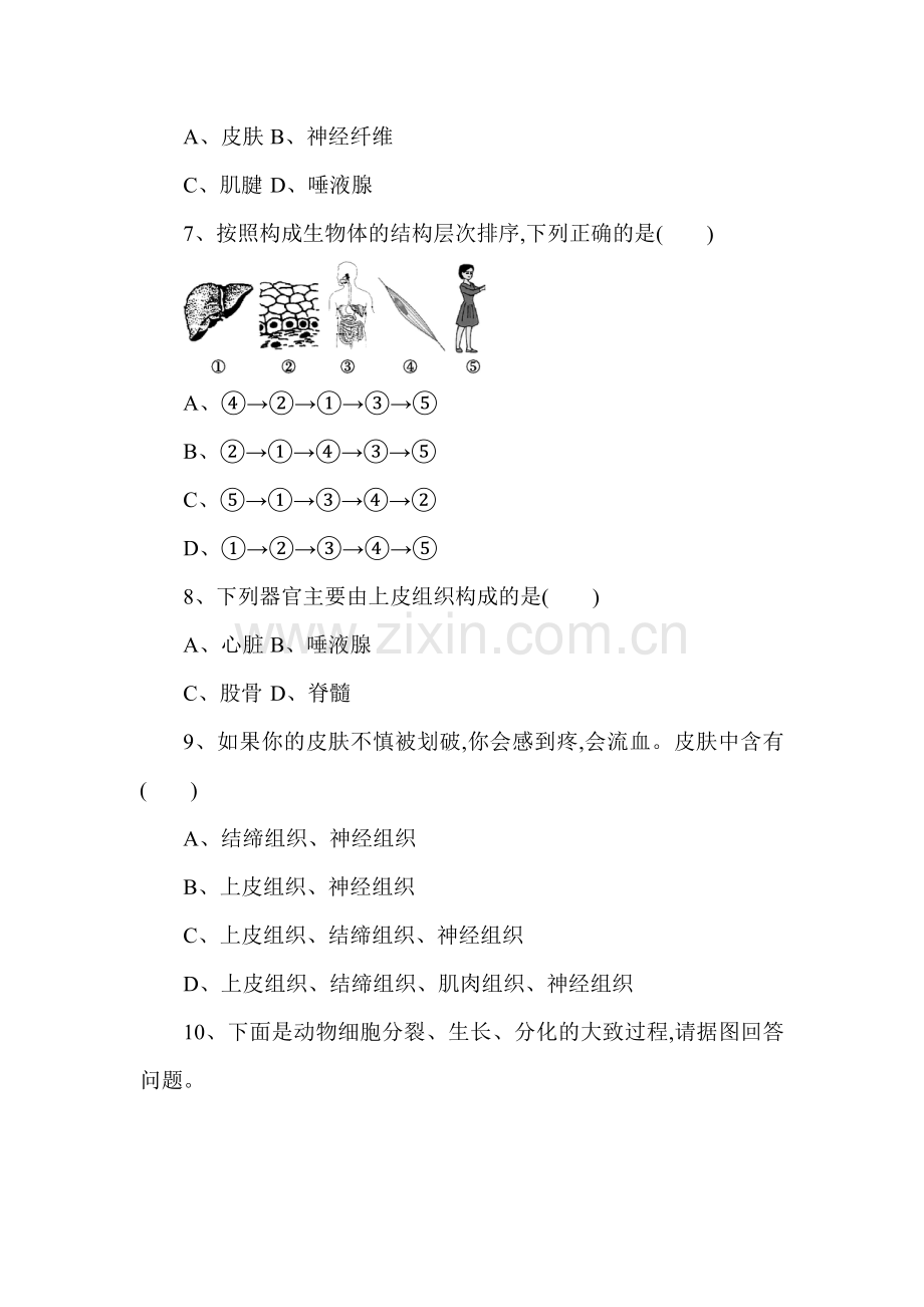 动物体的结构层次练习题4.doc_第2页