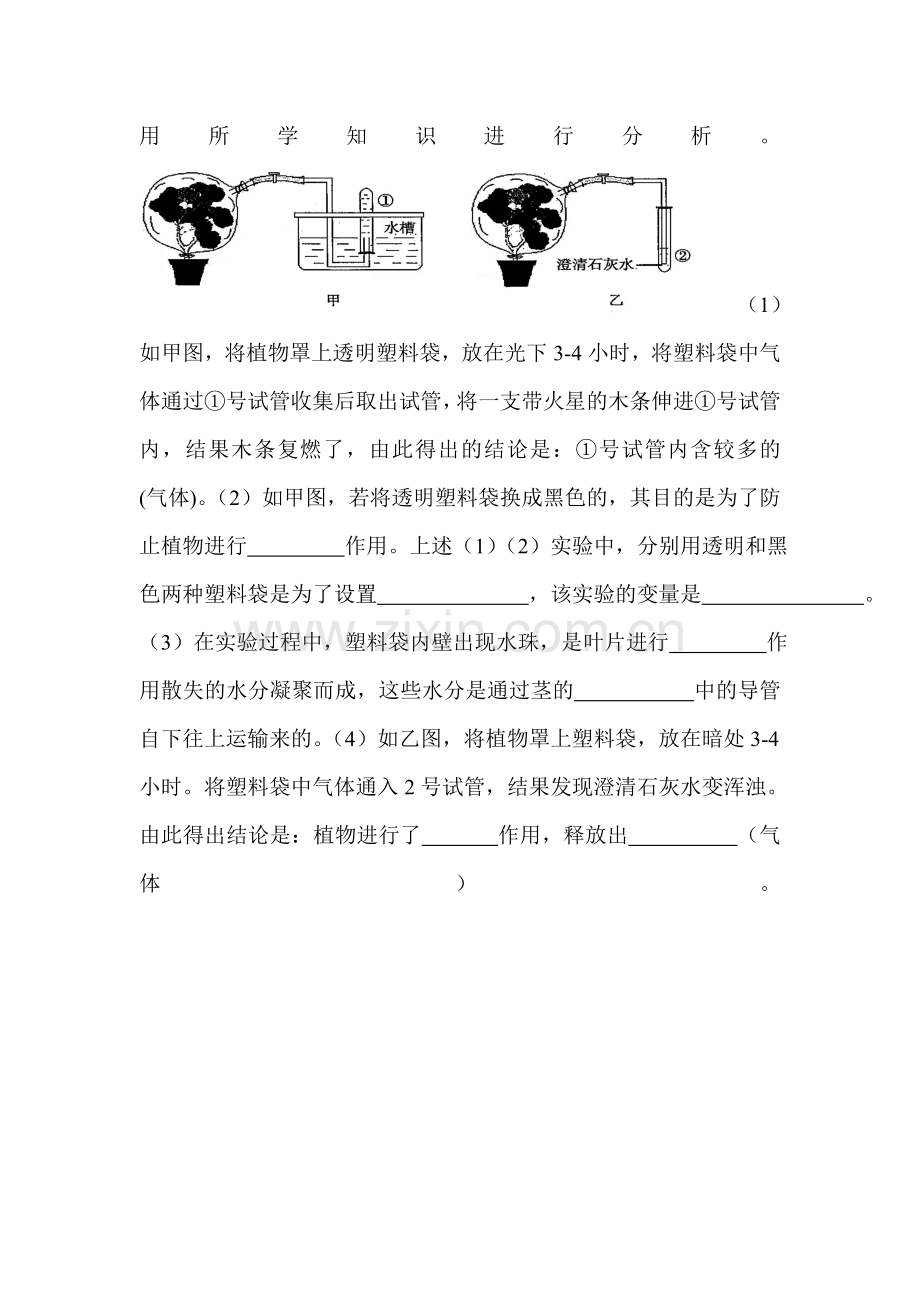 七年级生物能量的释放和利用同步练习.doc_第3页