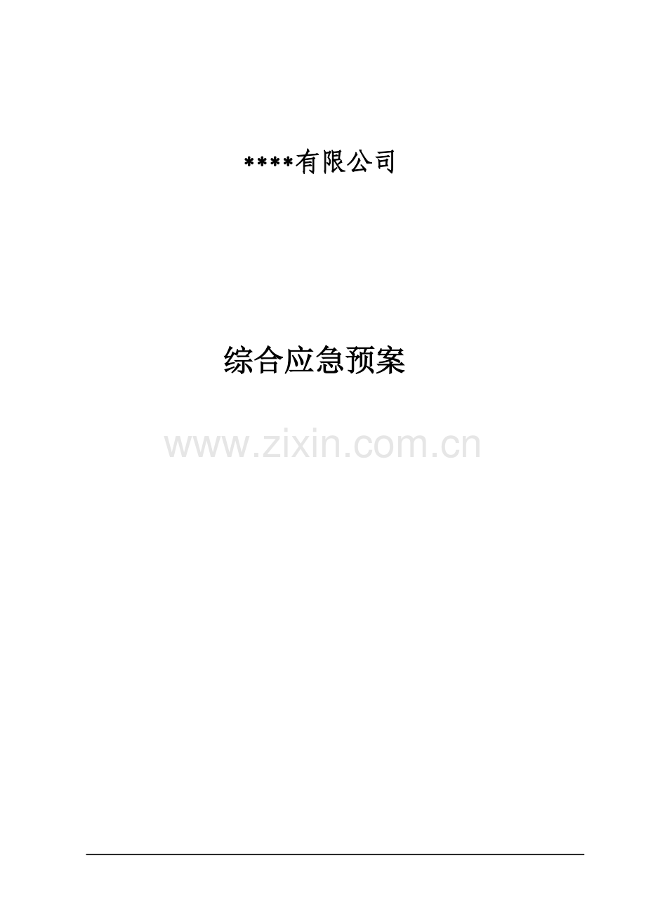 某某公司综合应急预案.doc_第2页