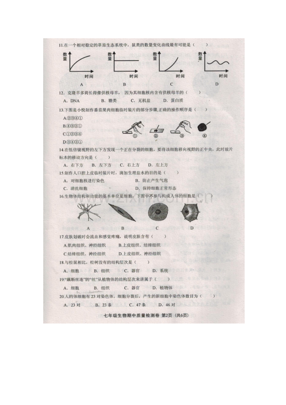 2017-2018学年七年级生物上学期期中检测试卷10.doc_第2页