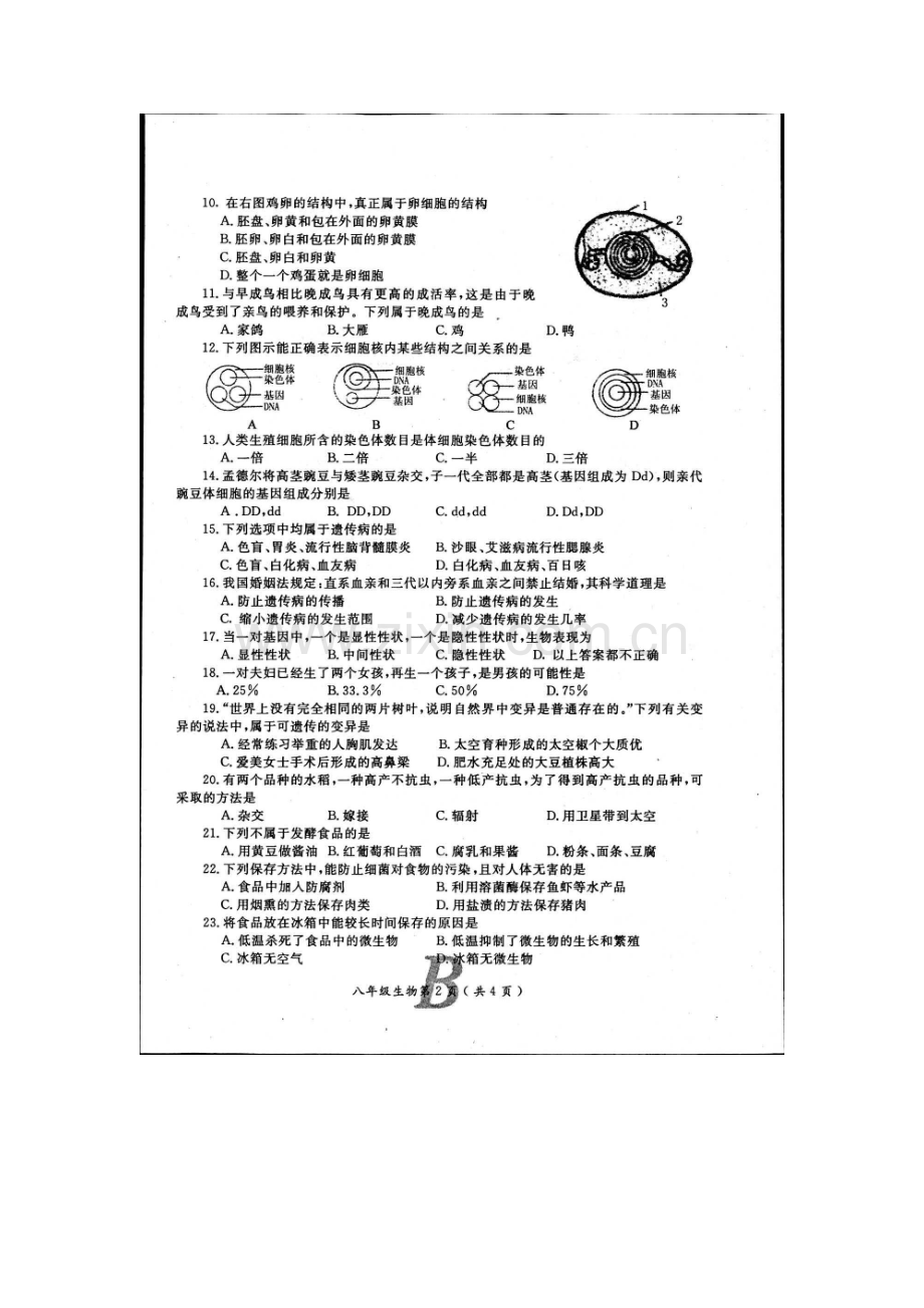 河南省宝丰县杨庄镇2015-2016学年八年级生物下册期中测试题.doc_第2页