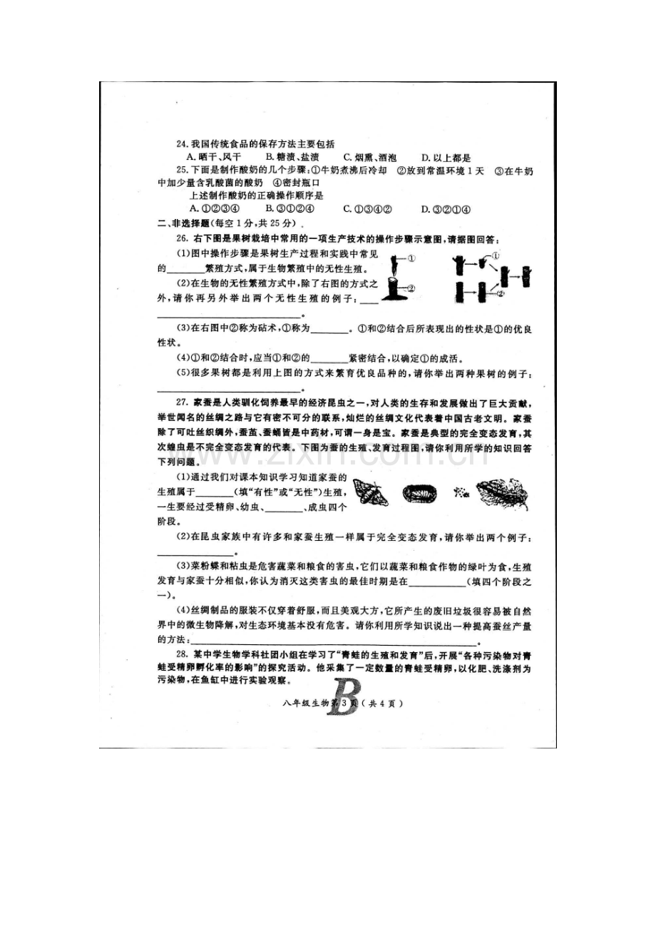 河南省宝丰县杨庄镇2015-2016学年八年级生物下册期中测试题.doc_第3页