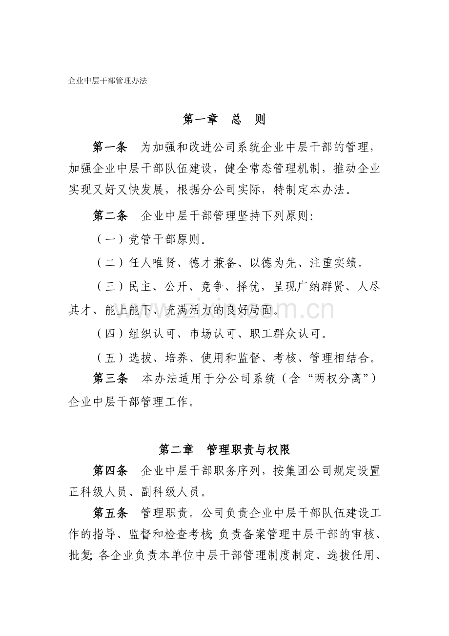 企业中层干部管理办法.doc_第1页