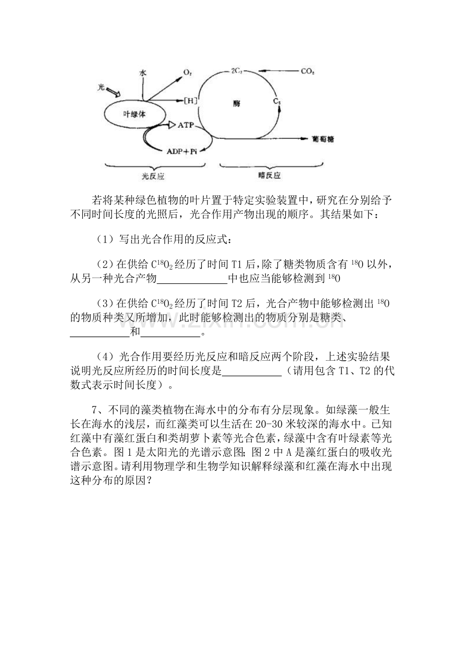 高三生物知识点专项复习题3.doc_第2页