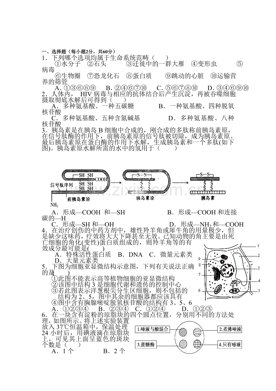 高一生物上册周周练测试题15.doc_第1页