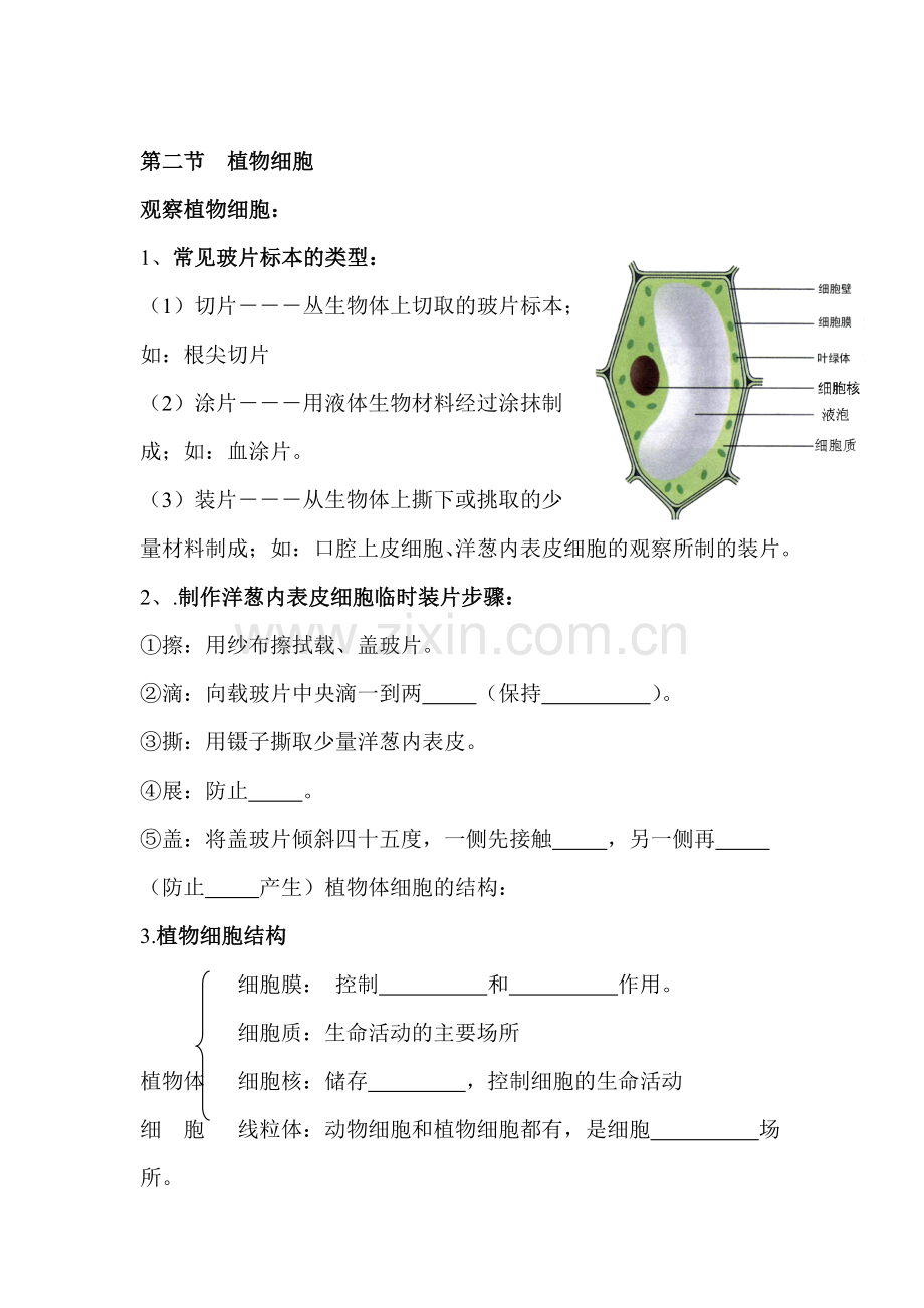 生物体的结构层次练习题7.doc_第1页