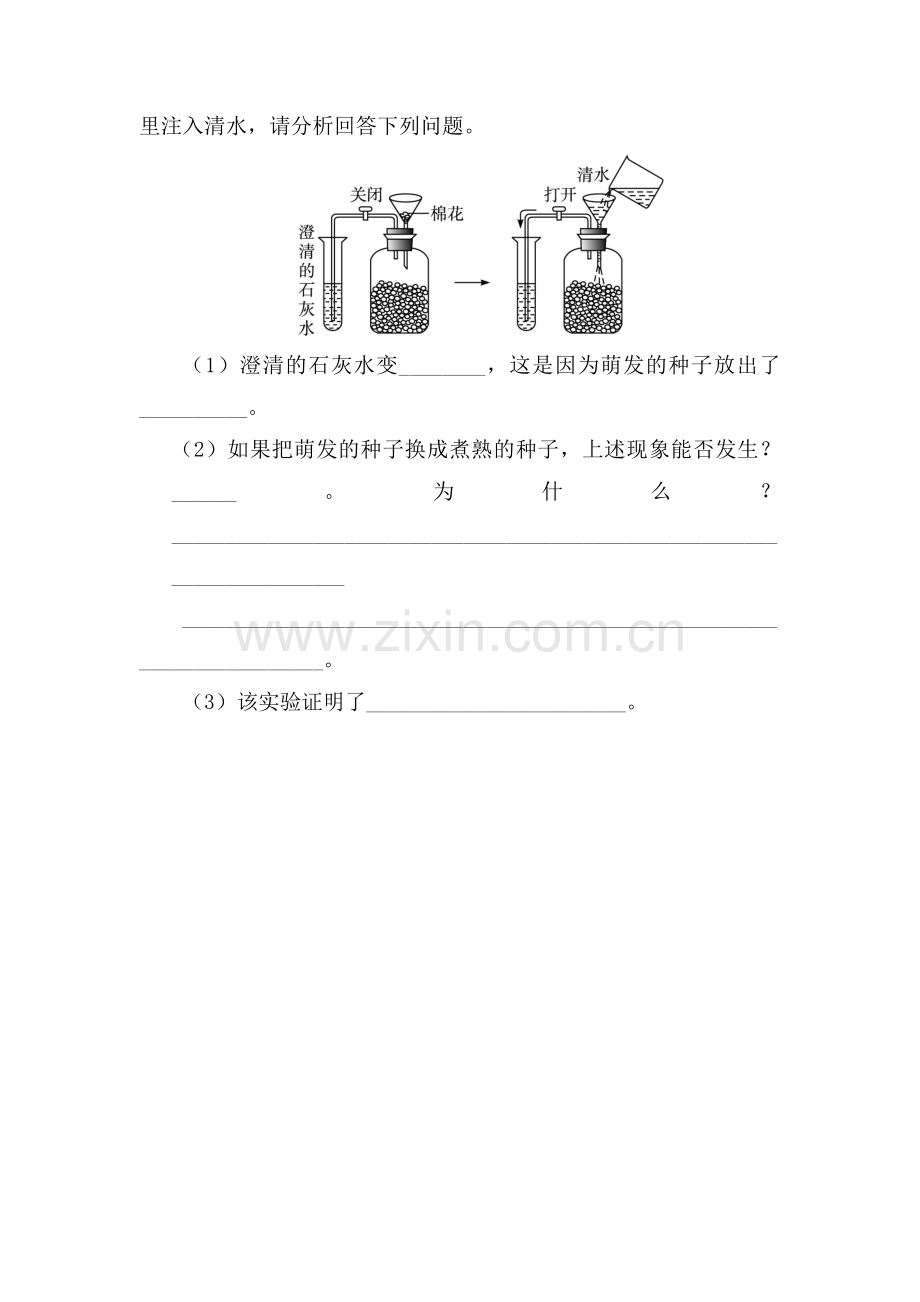 呼吸作用课后训练.doc_第3页