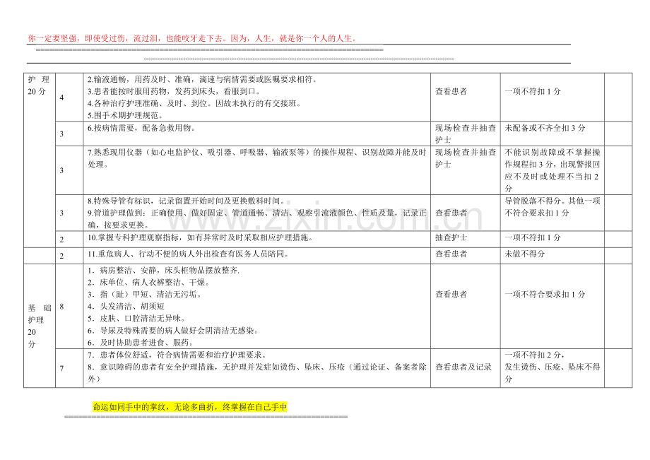 整体护理质量考核标准..doc_第2页