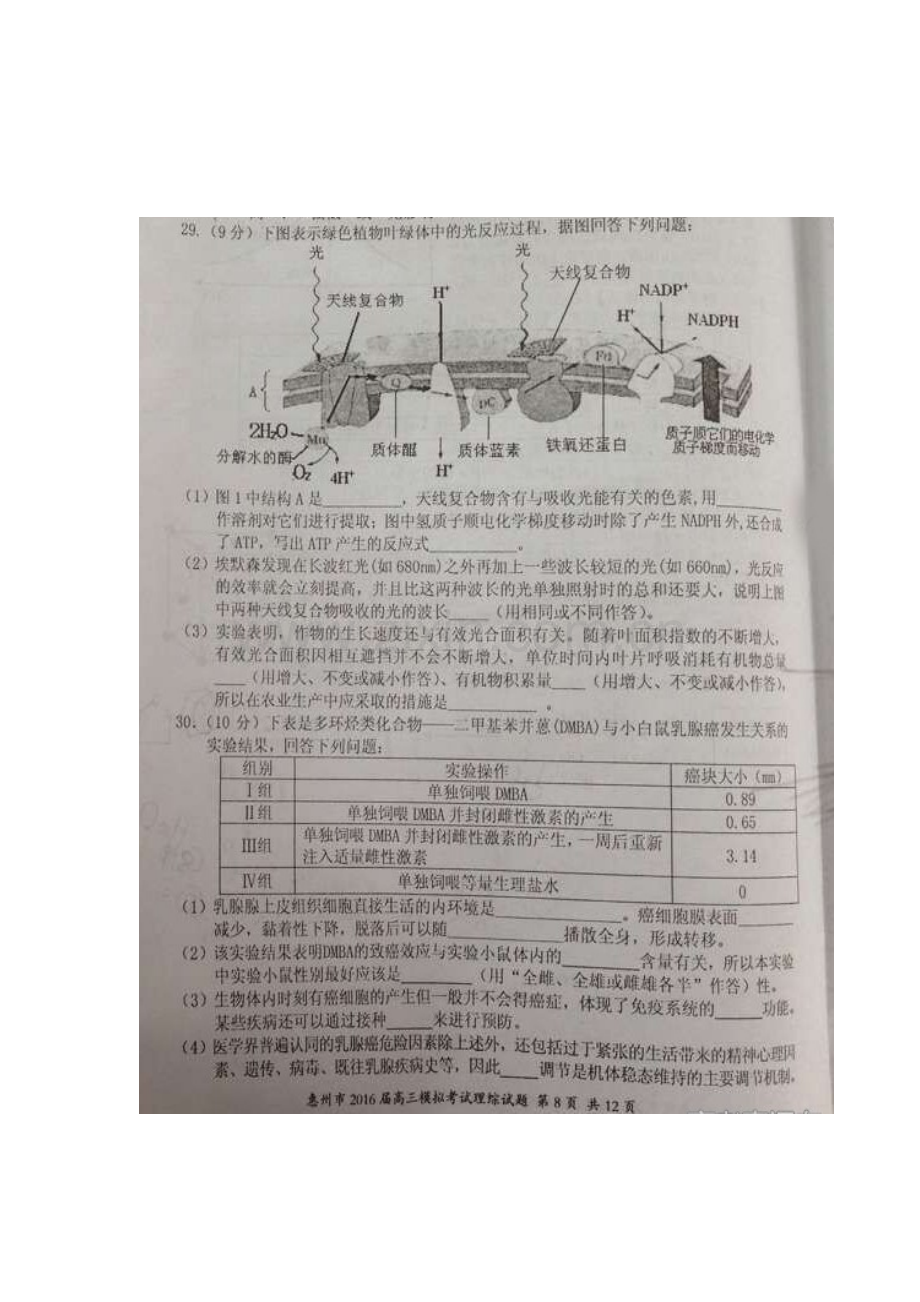 广东省惠州市2016届高三生物下册4月模拟考试题.doc_第2页