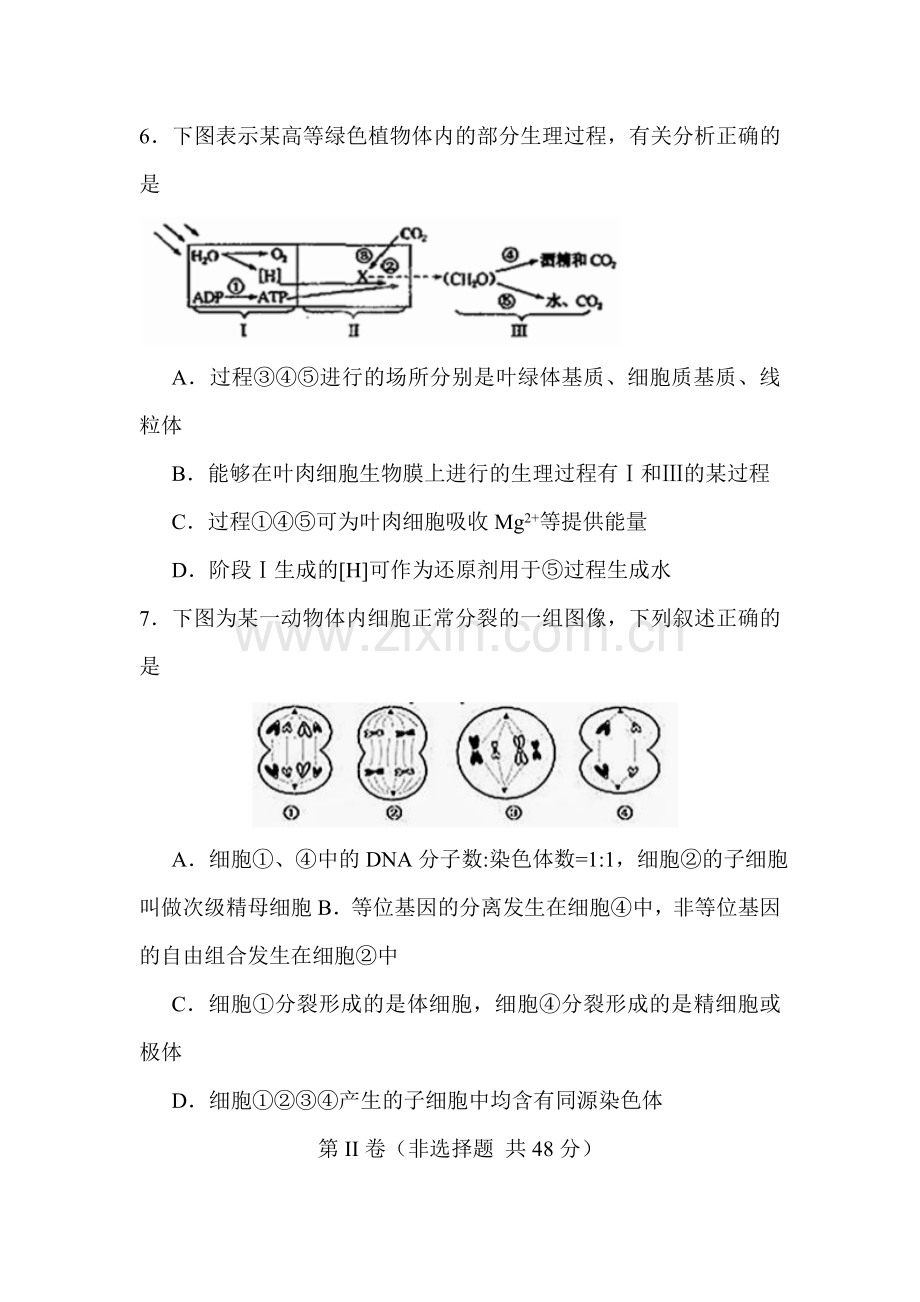 四川省成都七中2016届高三生物下册第二次模拟试题.doc_第3页