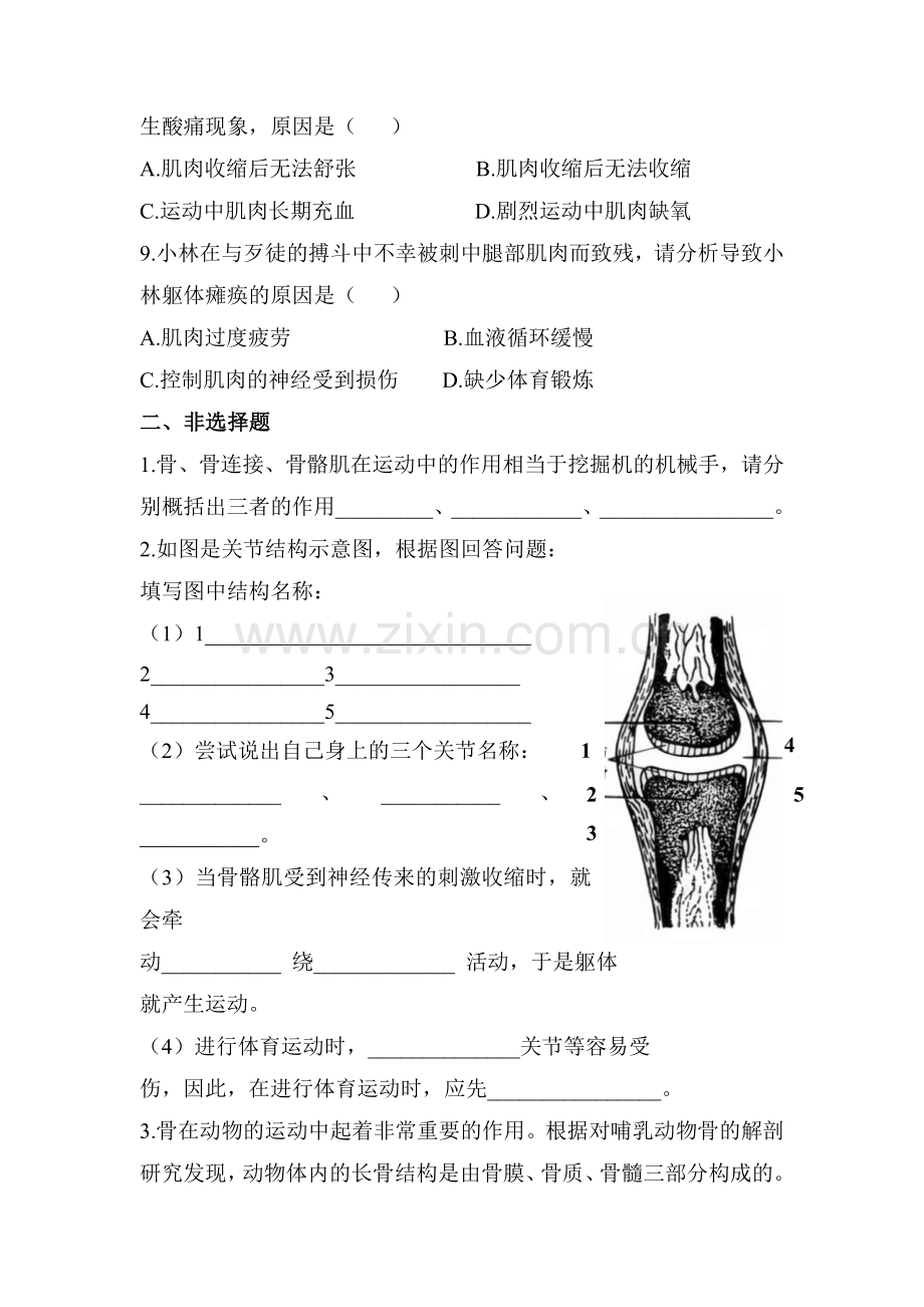 动物的运动依赖于一定的结构课时训练.doc_第2页