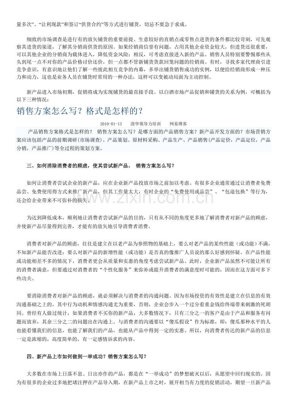 产品销售方案格式是怎样的.doc_第2页