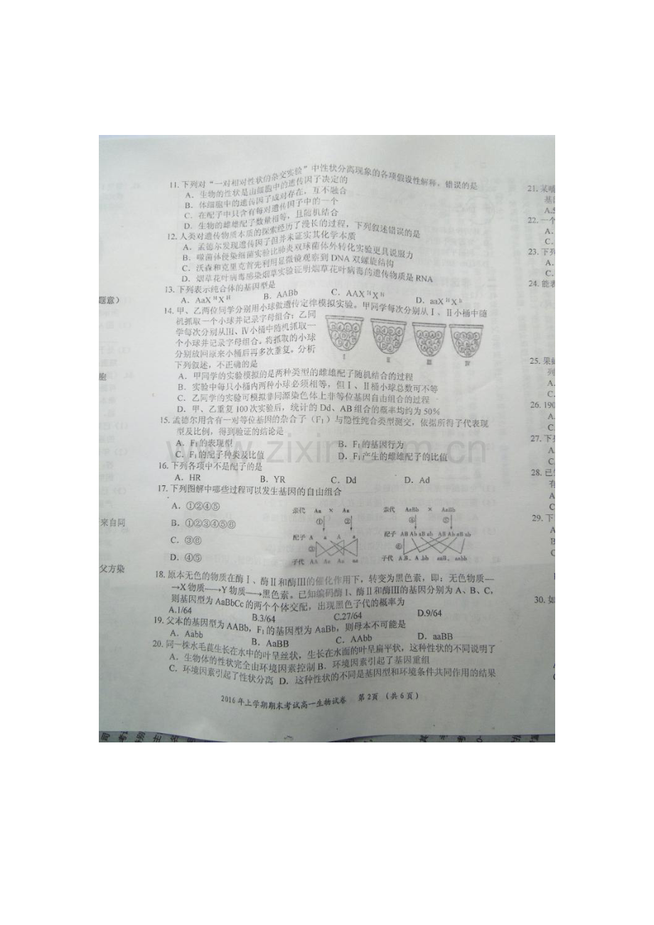 湖南省邵阳市2015-2016年度高一生物下册期末试题.doc_第2页