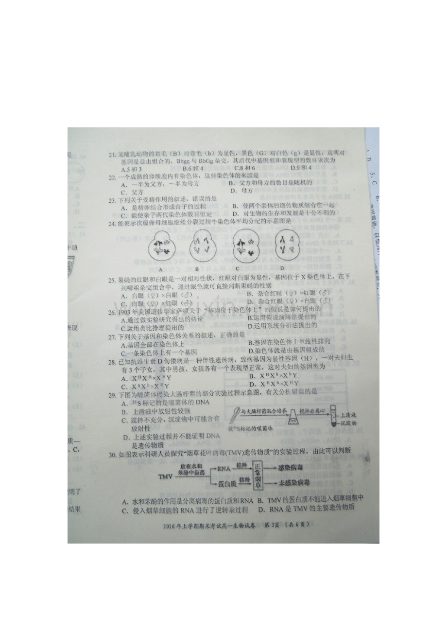 湖南省邵阳市2015-2016年度高一生物下册期末试题.doc_第3页