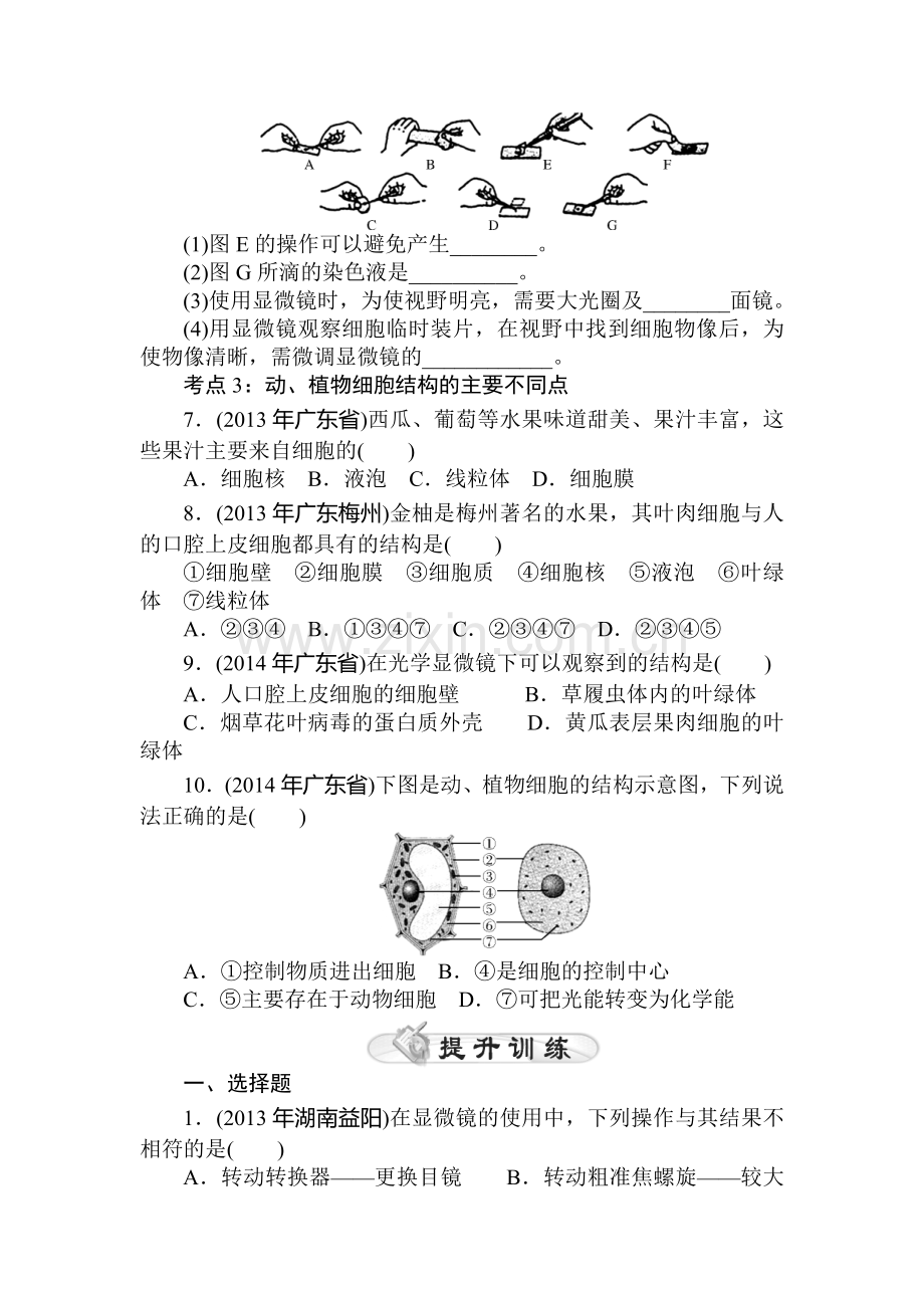 2015届中考生物考点巩固提升检测12.doc_第2页