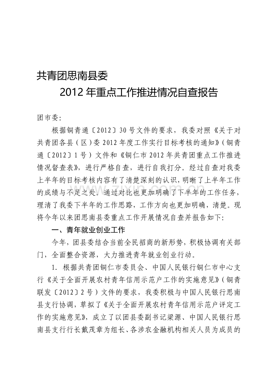 团县委半年目标考核工作自查报告..doc_第1页