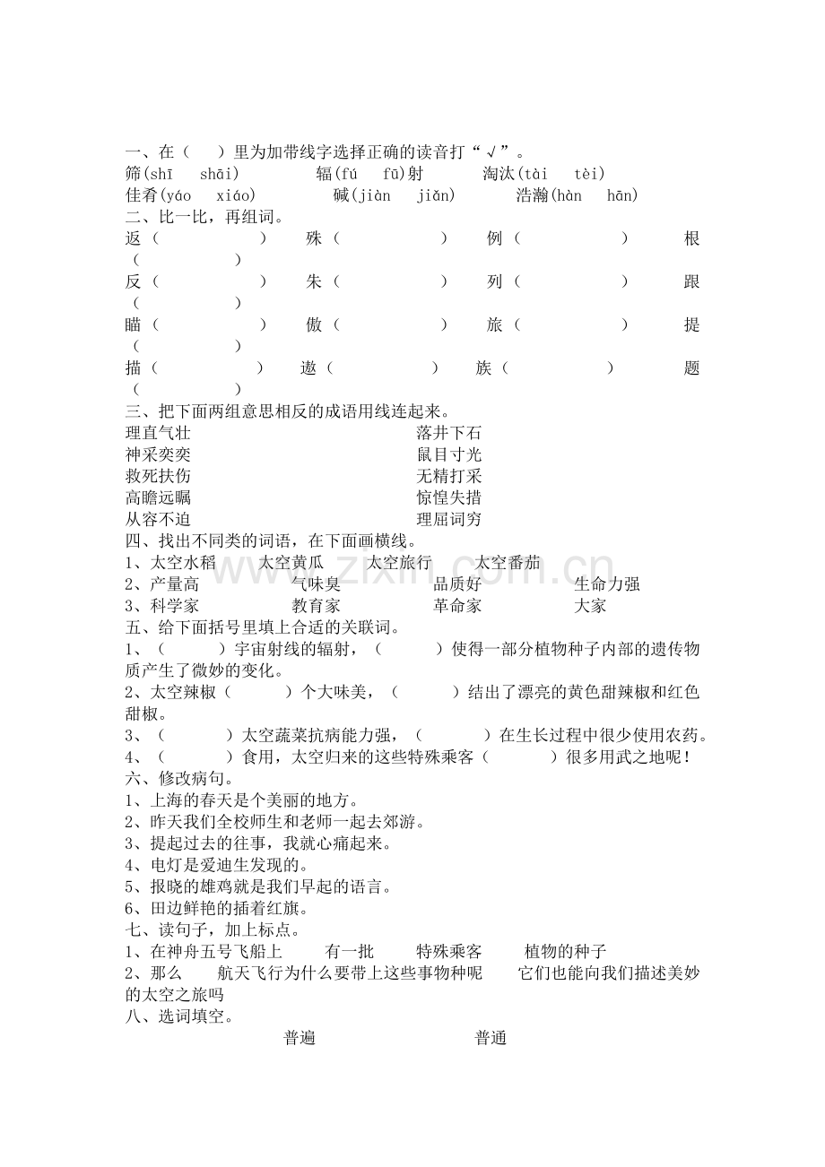 四年级语文飞船上的特殊乘客练习题1.doc_第1页