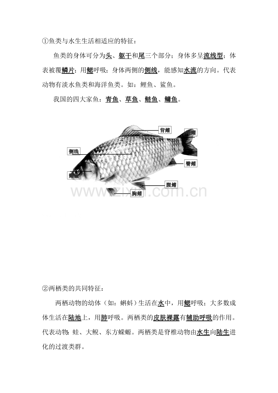 八年级生物上学期单元综合测试题16.doc_第3页