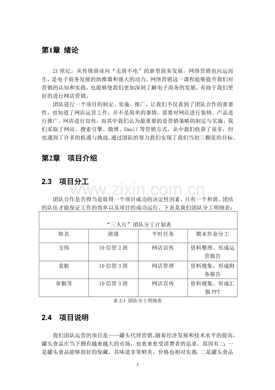 网络营销团队运营报告作业.doc_第3页