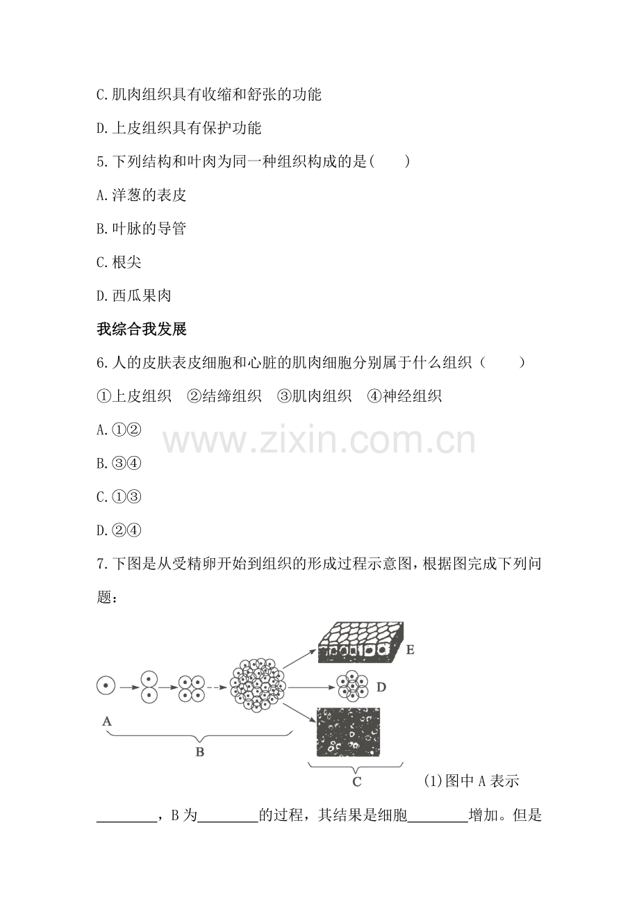 2015-2016学年七年级生物上册知识点同步练习题14.doc_第2页