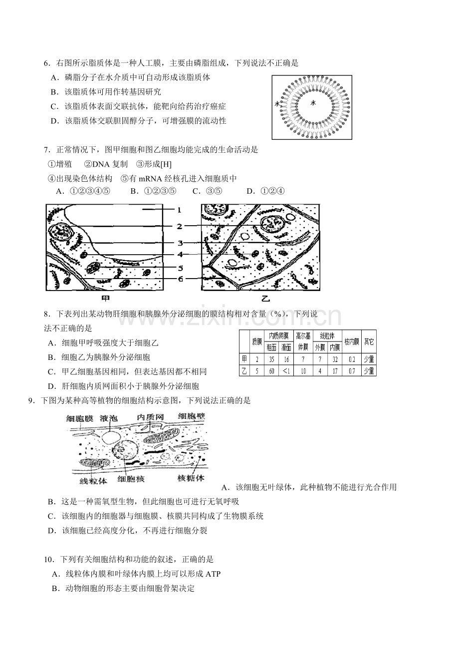 北京四中2013届高三上学期期中测试生物试题.doc_第2页