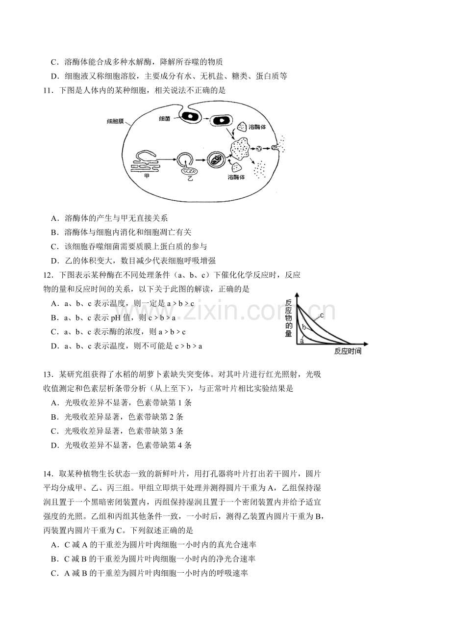 北京四中2013届高三上学期期中测试生物试题.doc_第3页