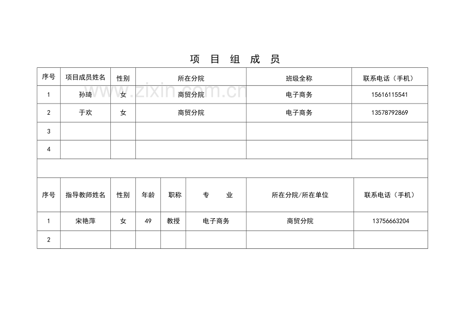 吉林省电商代运营可行性调查分析.doc_第2页