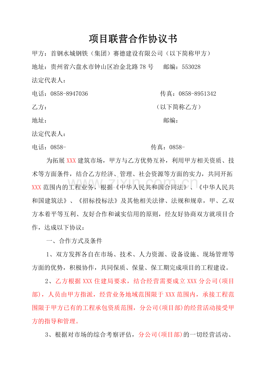 项目联营合作协议书(模板).doc_第1页