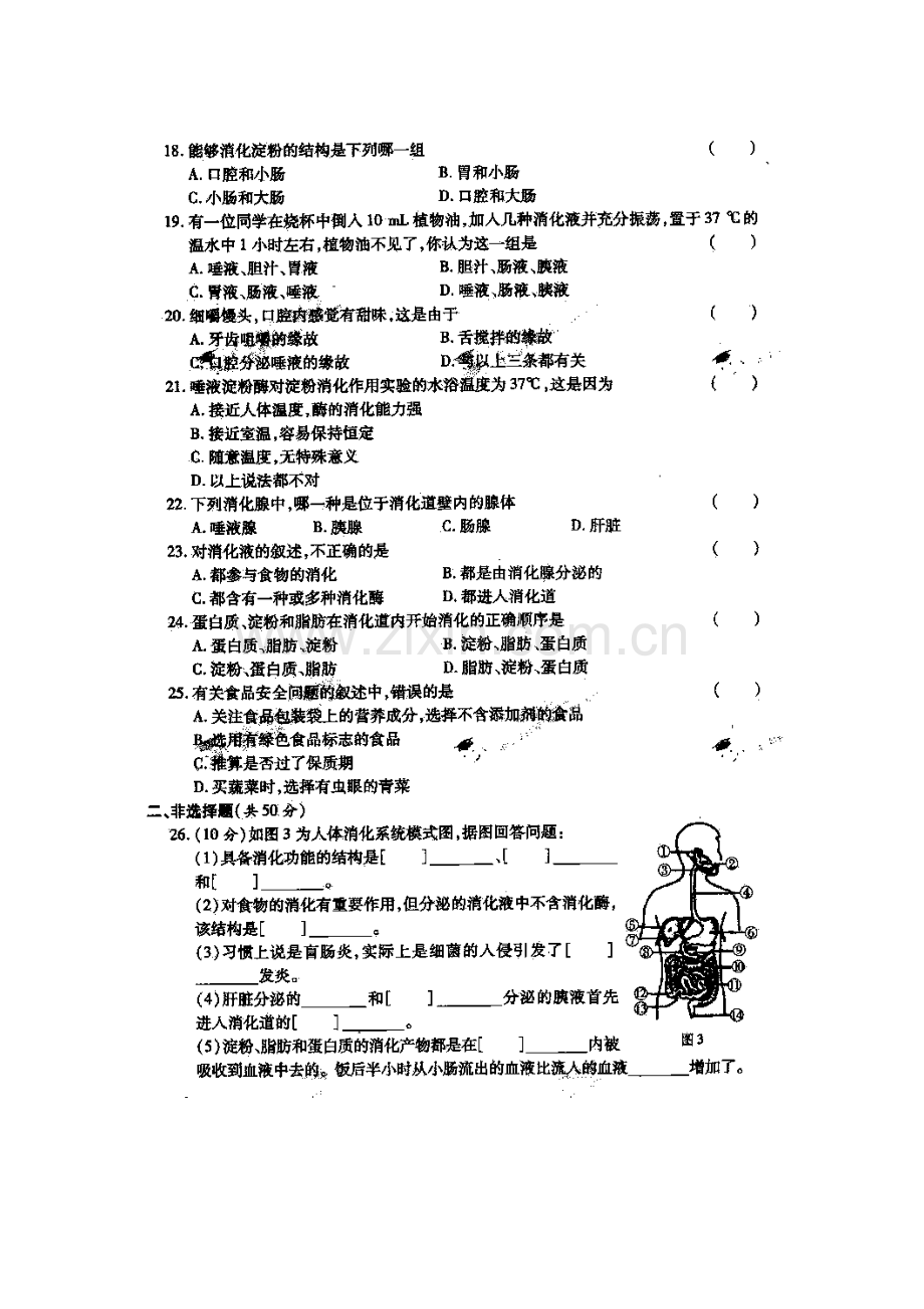 人体的营养同步测试.doc_第3页