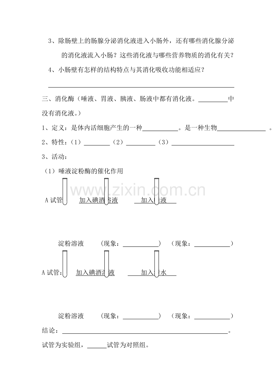 九年级科学食物的消化与吸收同步练习.doc_第3页