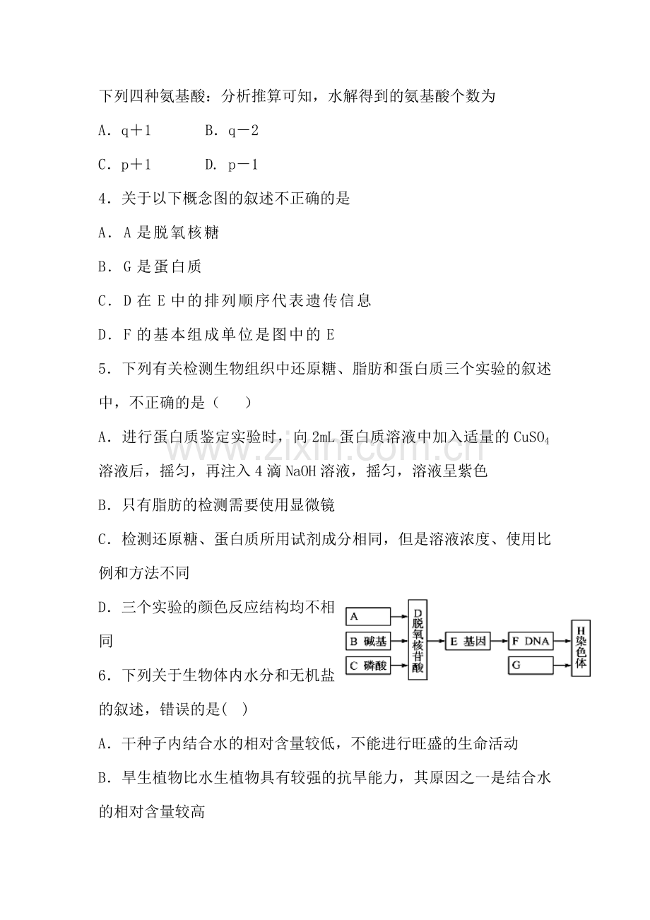 新疆兵团2016届高三生物上册第一次月考试题.doc_第2页