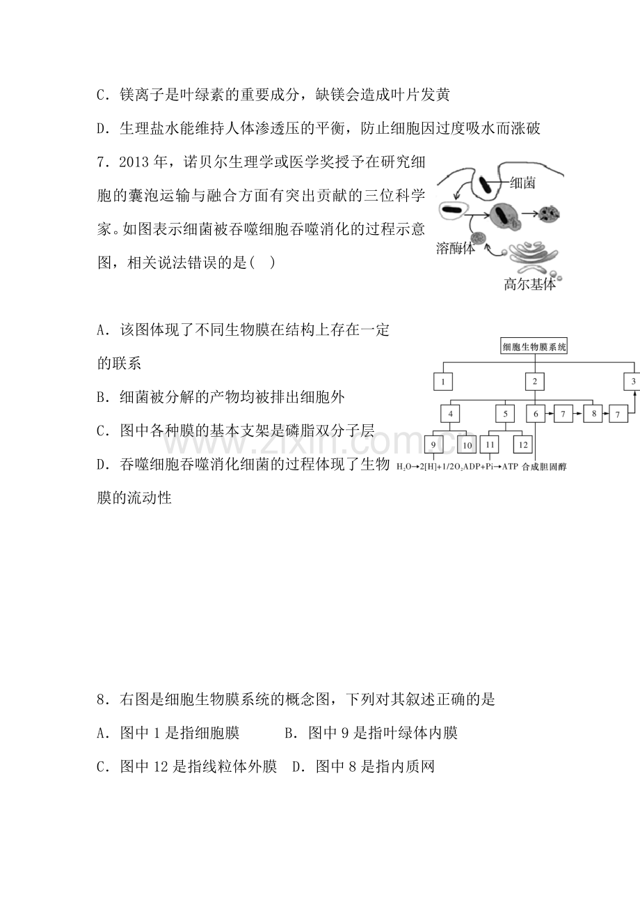 新疆兵团2016届高三生物上册第一次月考试题.doc_第3页