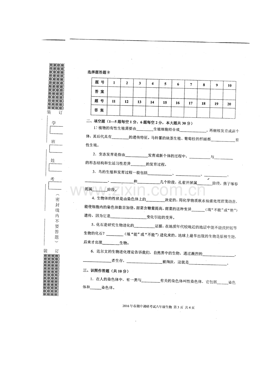 湖北省武汉市2015-2016学年八年级生物下册期中试题.doc_第3页