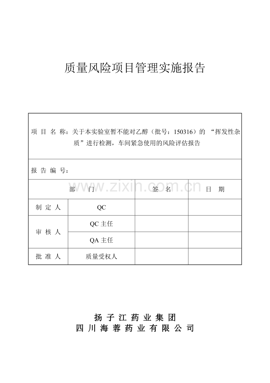 乙醇免检风险评估报告.doc_第1页