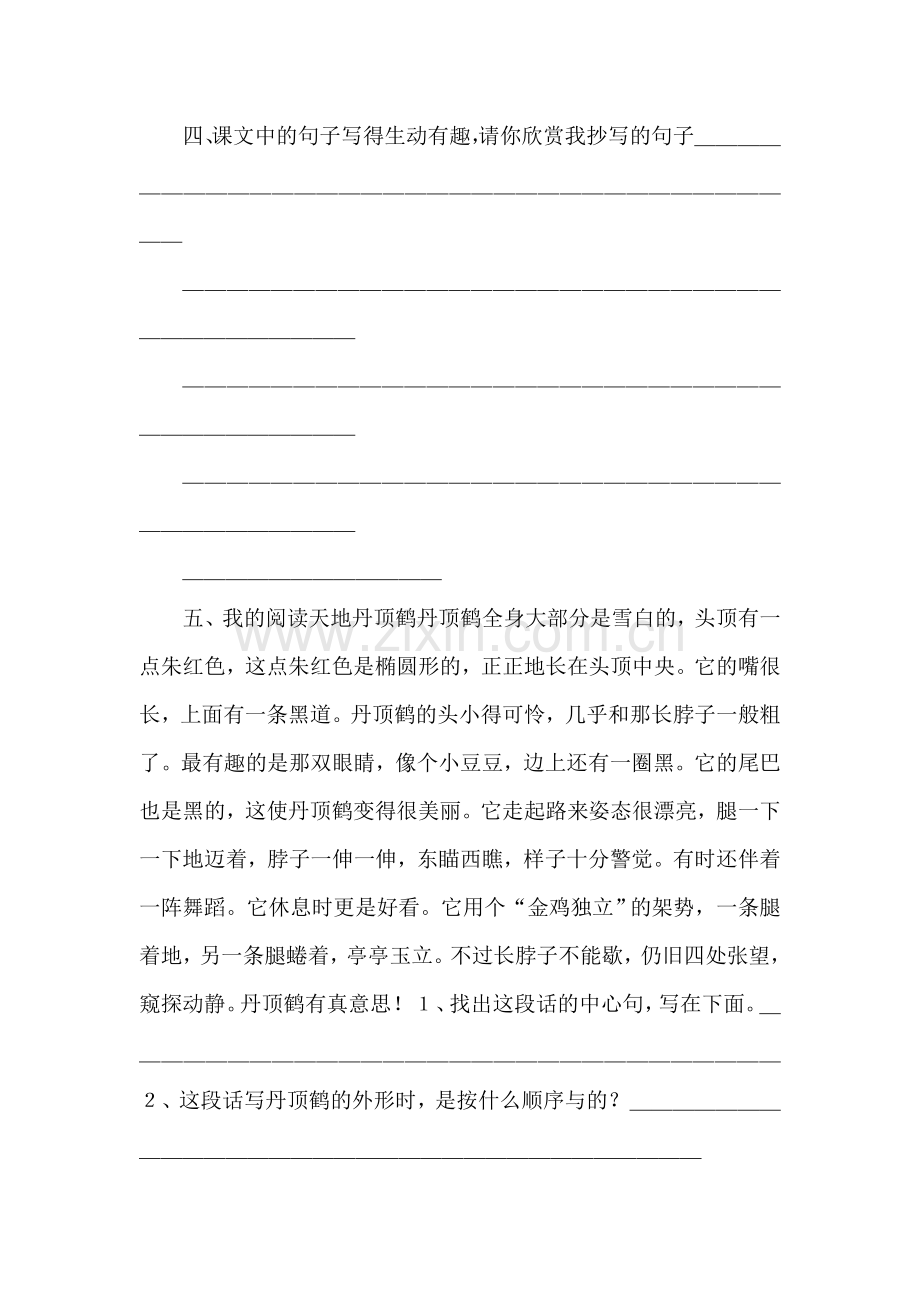 四年级语文白鹅练习题1.doc_第2页