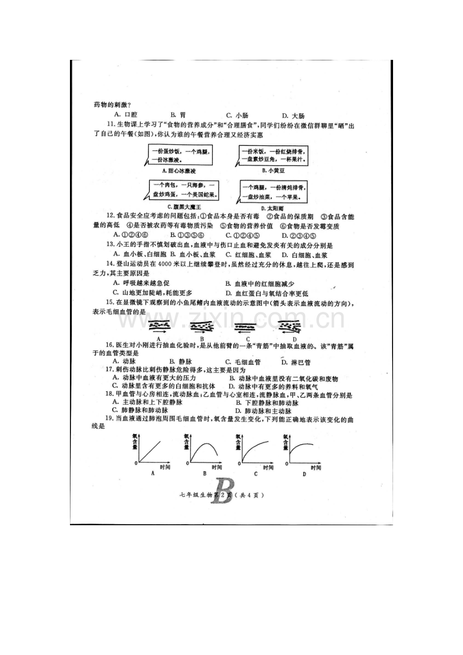 河南省宝丰县杨庄镇2015-2016学年七年级生物下册期中测试题.doc_第2页