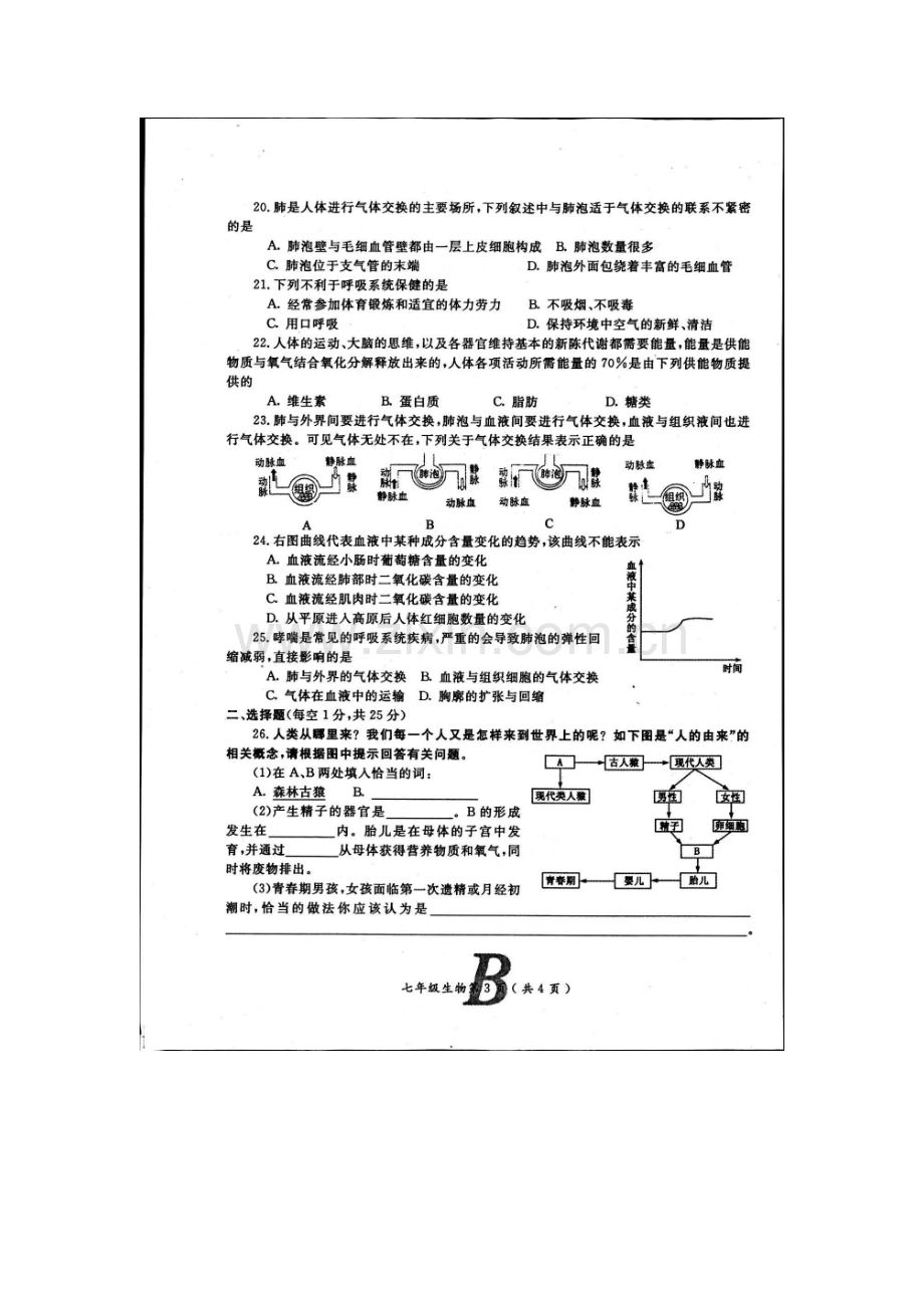 河南省宝丰县杨庄镇2015-2016学年七年级生物下册期中测试题.doc_第3页