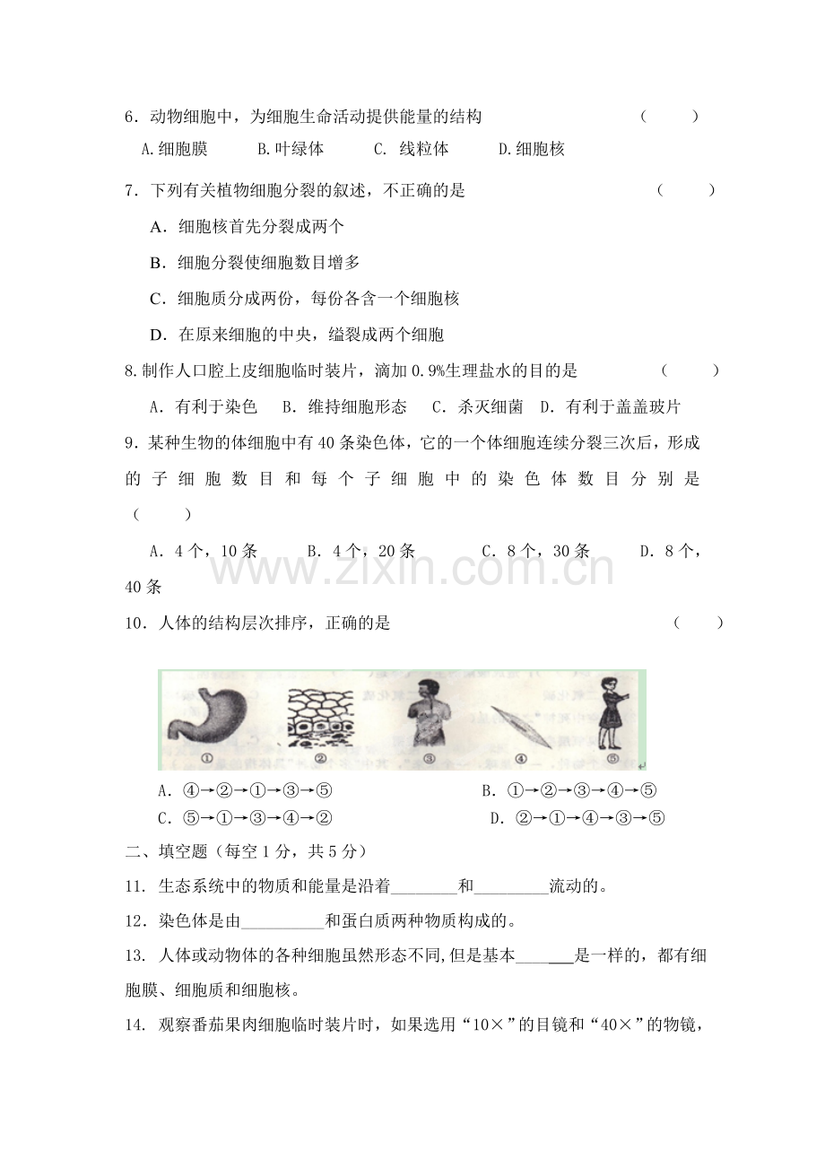 2015-2016学年七年级生物上册期中试卷4.doc_第2页