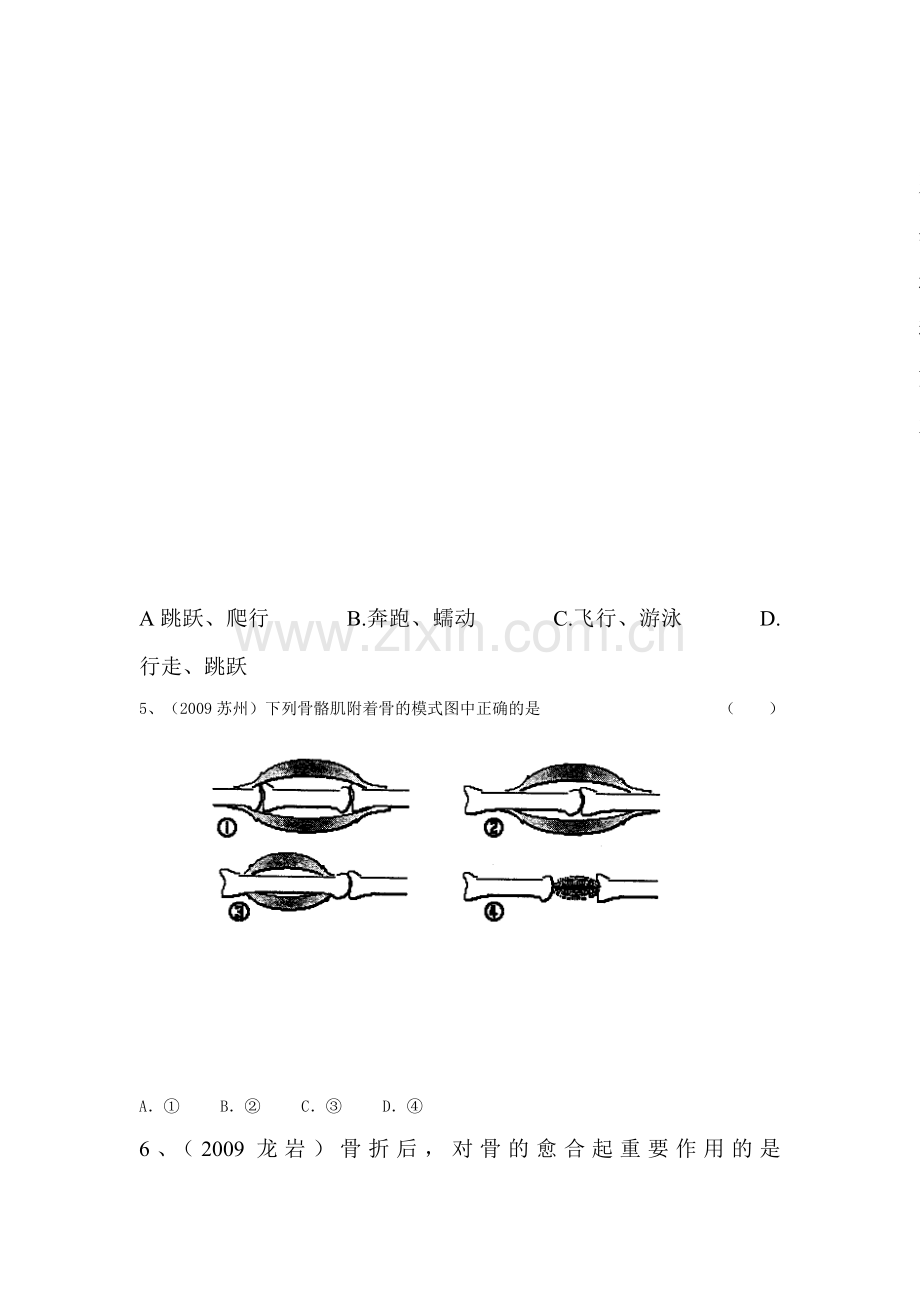 动物的运动同步练习1.doc_第2页