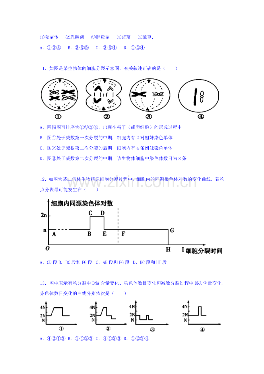 山东省淄博六中2015-2016学年高二生物上册期中试题.doc_第3页